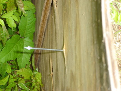 The barbed tip stiff wire dart with its tip protruding thru the plywood.