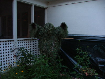 !!!!!!!!!!!!!!!!!!!!!