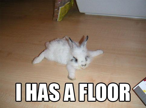 bunny has the floor!!!