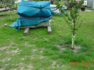 shop humor at its finest.My southbend lathe(1 ton) chained to a sapling.To make sure no one walks off with the tree.