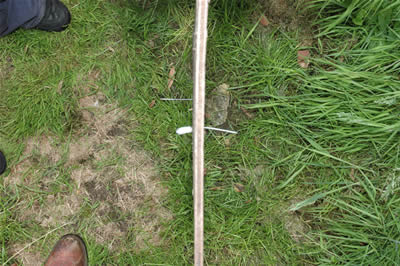 nail dart through ply