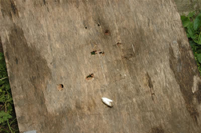 another bit of ply 36 feet