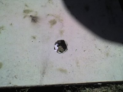 Entry hole into sheet rock. Shot with 5 pound bar-bell shown in backstop picture.