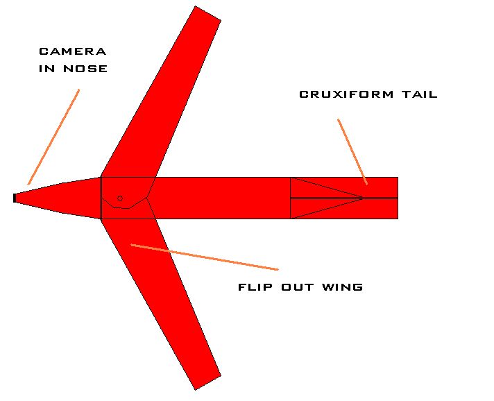 swing wing.jpg