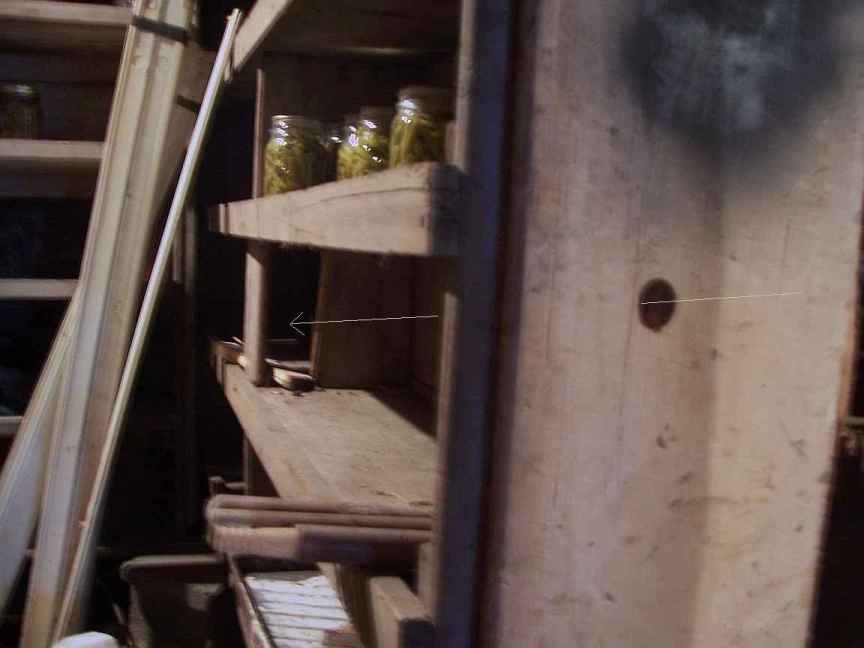 Here's a damage shot at 5x