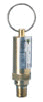 safetyvalve.gif
