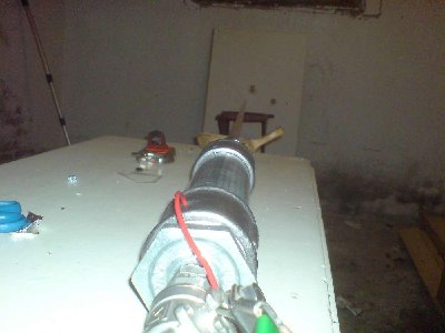 hybrid from the back