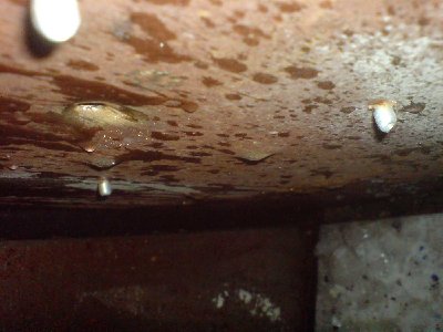 look carefully and you can tell there is dents by marbles in the steel plate