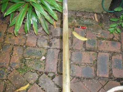 It's brass for sure,not copper.