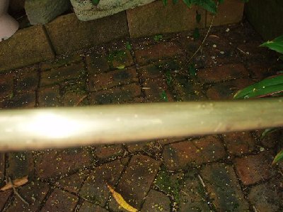 The photo's don't do it justice it really is very brightly polished.