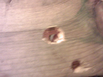 i shot a marble through a two by four
