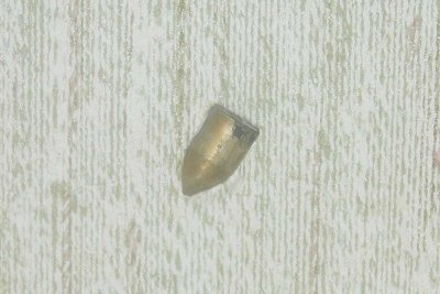 bullet_in_wall.jpg