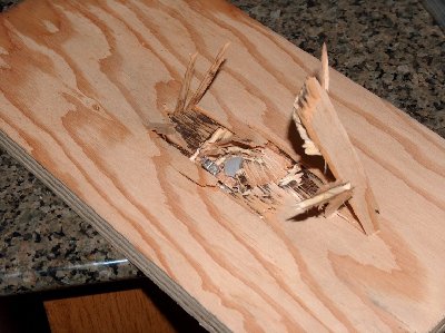 plywood exit hole.jpg (175.15 KiB) Viewed 5059 times The exit side. 3/4" spruce plywood. Shot at a range of 5 yards. 1/2 ounce fishing weight/hot glue ammo @ 400psi