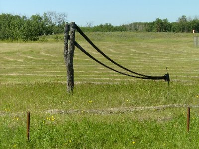 Giant sling shot.jpg