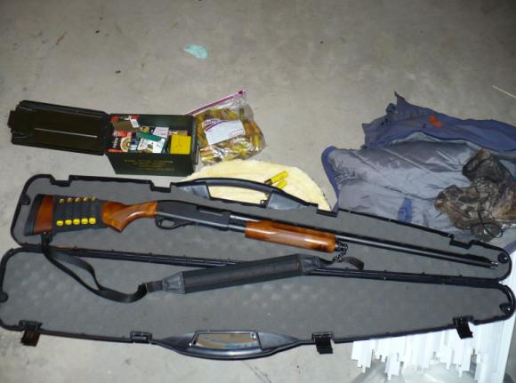my20gaugeremington.JPG
