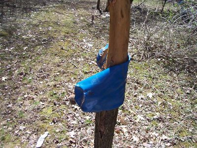 It is also a hand-held.